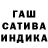 Amphetamine Premium Anar Chudanova