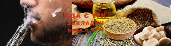 индика Арсеньев