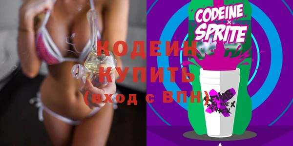 индика Арсеньев