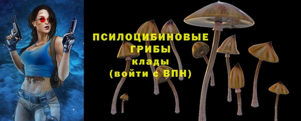 индика Арсеньев