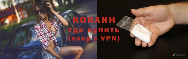индика Арсеньев