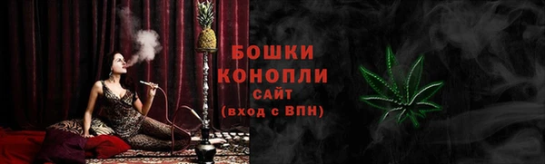 индика Арсеньев