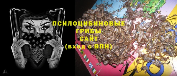 индика Арсеньев
