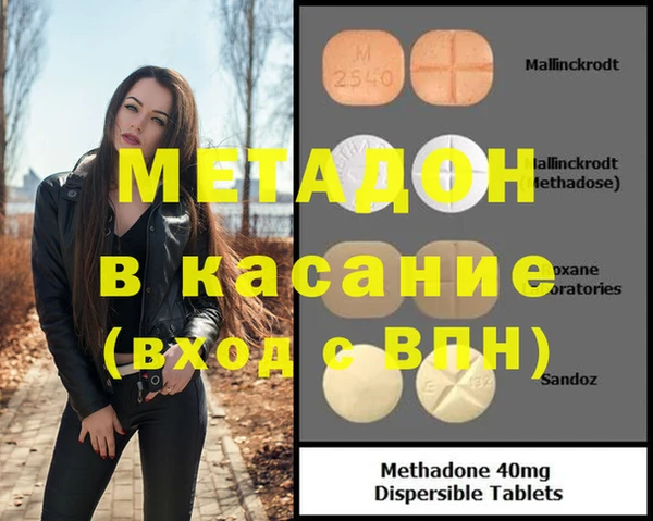 индика Арсеньев
