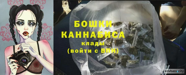 индика Арсеньев