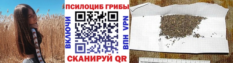 Псилоцибиновые грибы мухоморы Нея