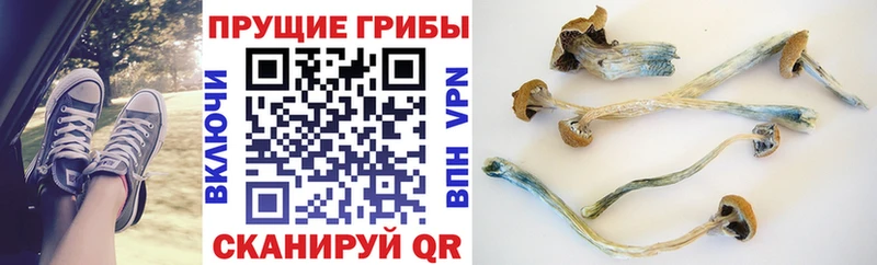 Галлюциногенные грибы ЛСД  Нея 